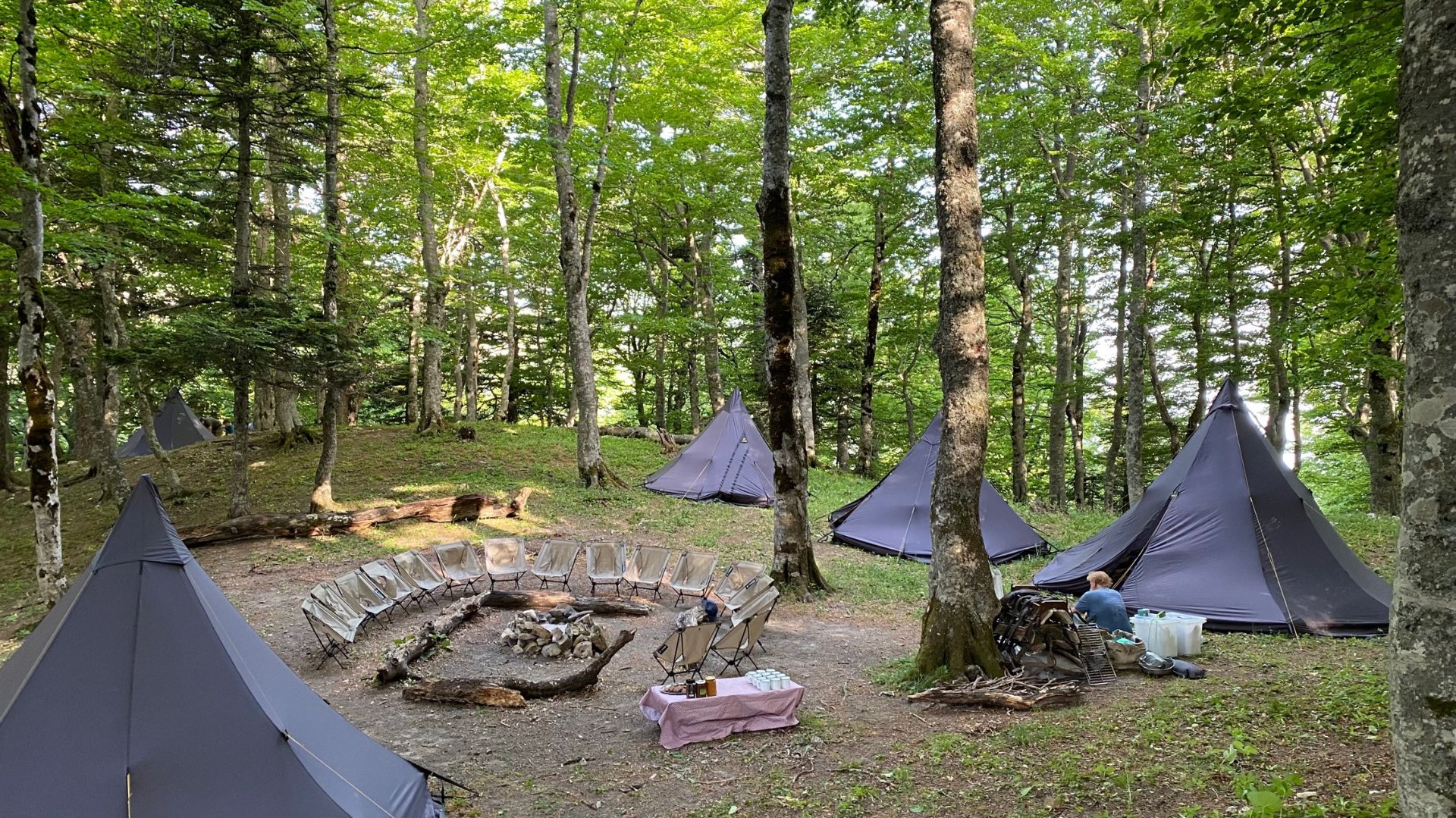 Glamping camp aziendale tra le faggete dell'Appennino con tende lounge e fuoco serale